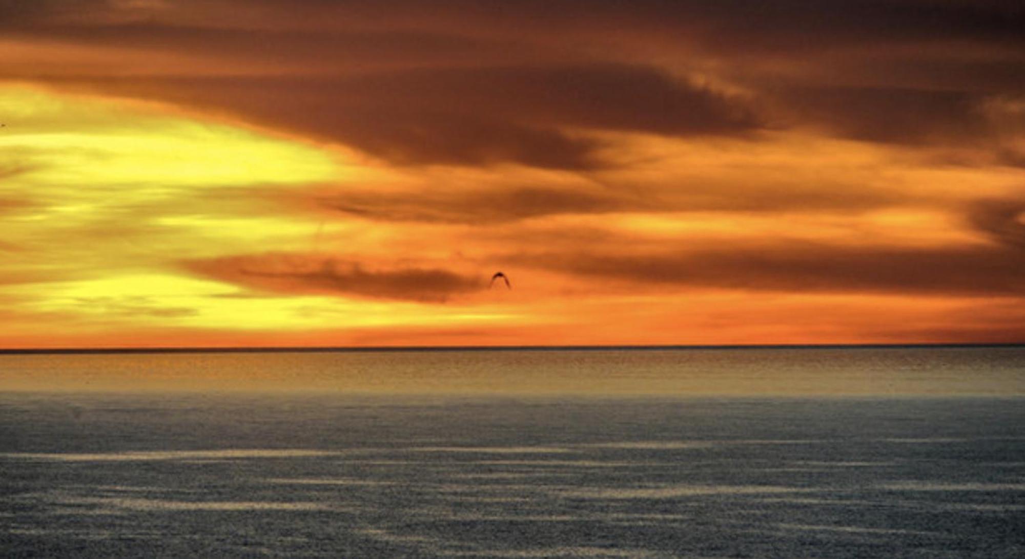 Piuma Celeste A Due Passi Dal Mare E Dal Centro Storico Lido di Ostia Zewnętrze zdjęcie